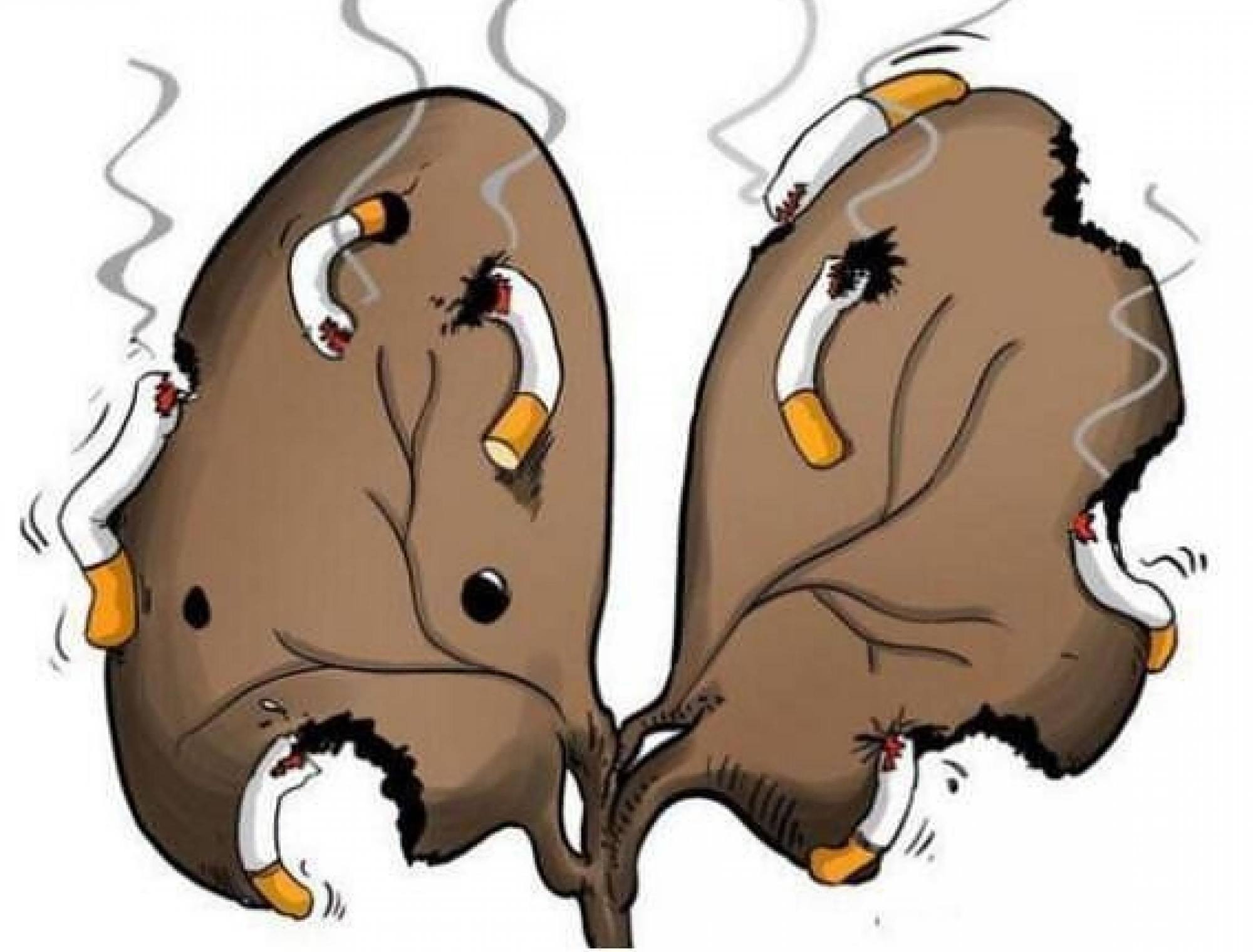 香烟里的尼古丁不致癌,吸烟有害健康是错的?今天医生告诉您真相