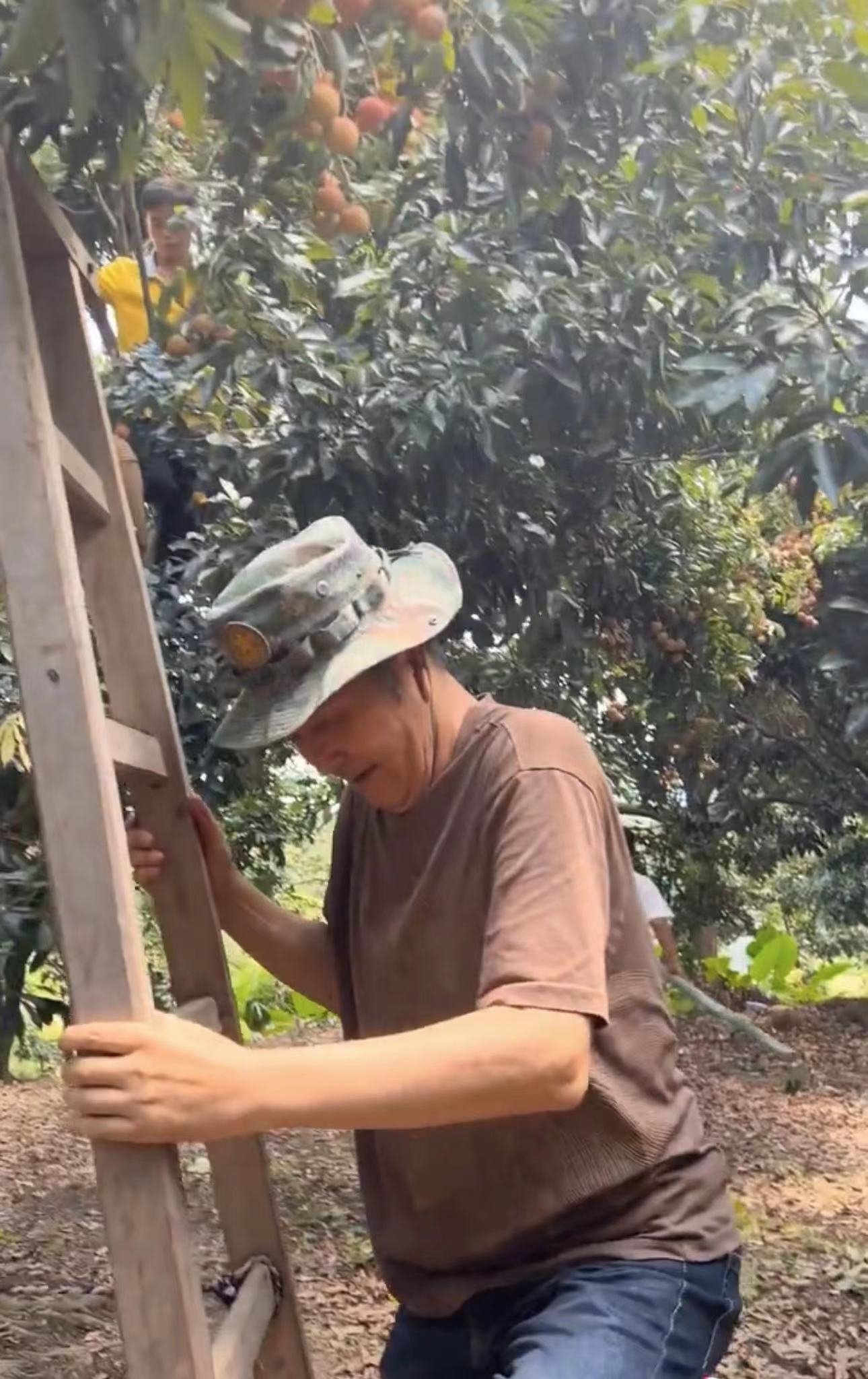 68岁戏骨林威首晒老婆,夫妻俩住内地农村,穿35元衣爬木梯干农活