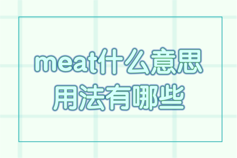 meat什么意思用法有哪些