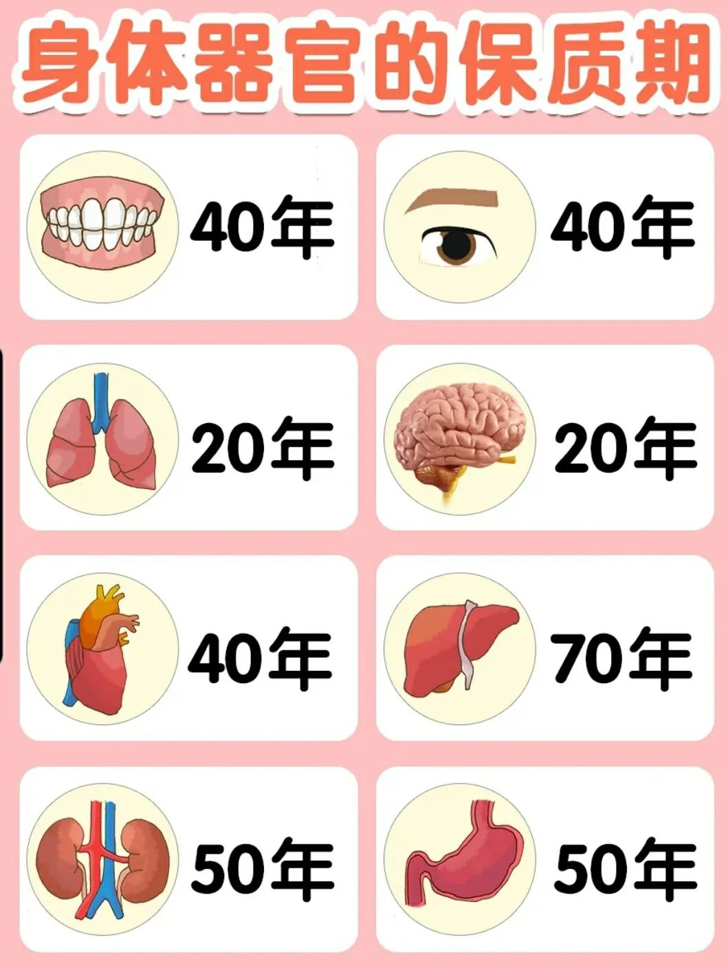 人体器官也有"保质期?来对照下你的身体器官"保质期"是多久