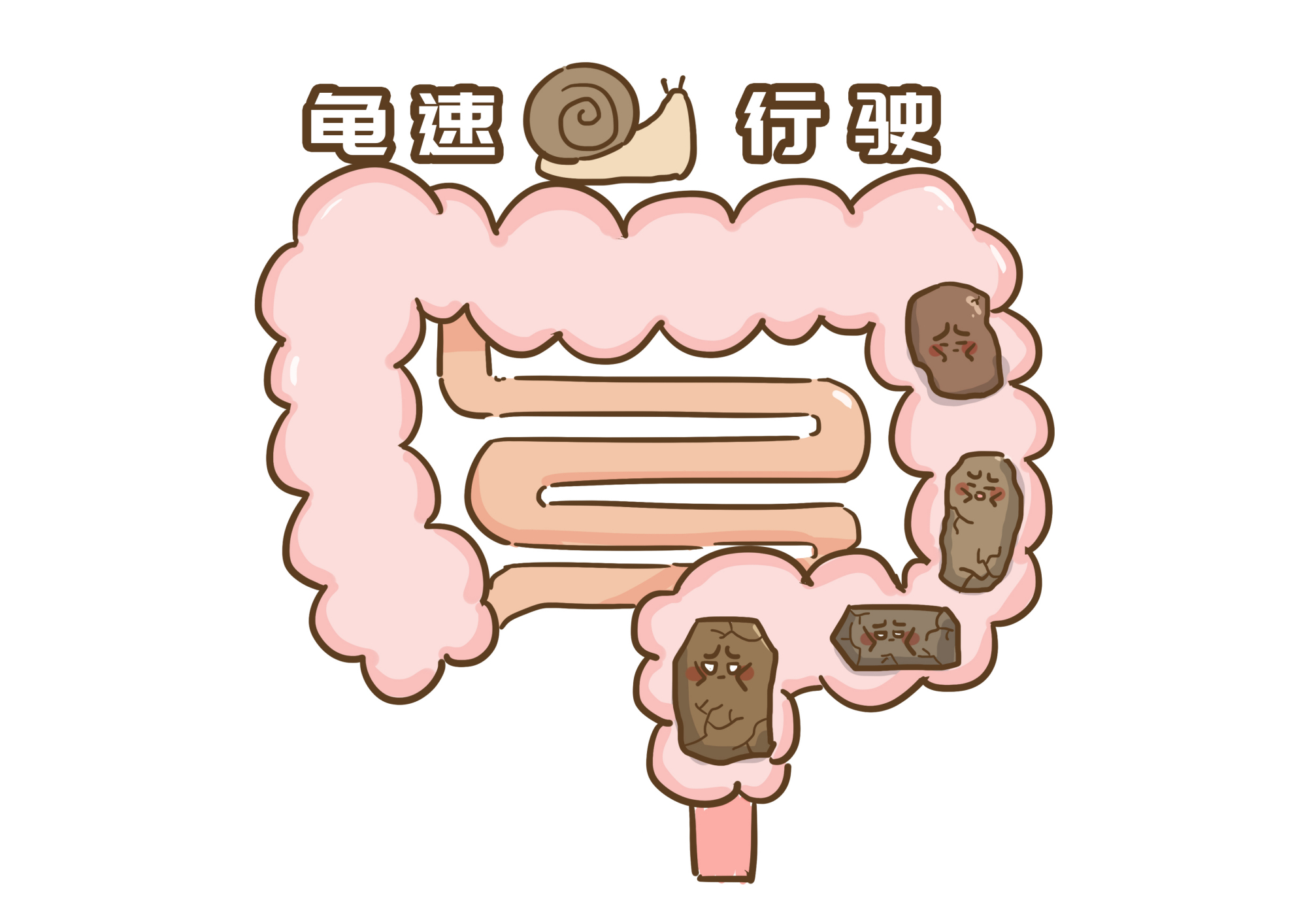 上厕所时,大便前头干硬,后头软粘,代表什么呢?看完涨知识了