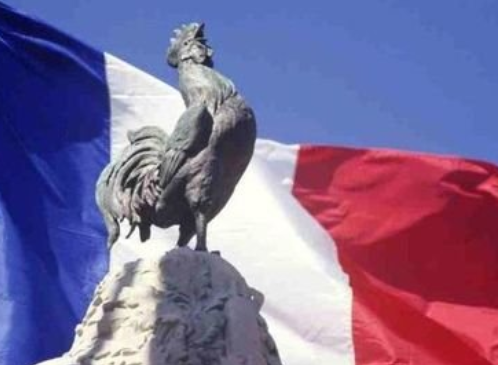 法国为什么叫法鸡 法国被称为法鸡是什么梗什么意思