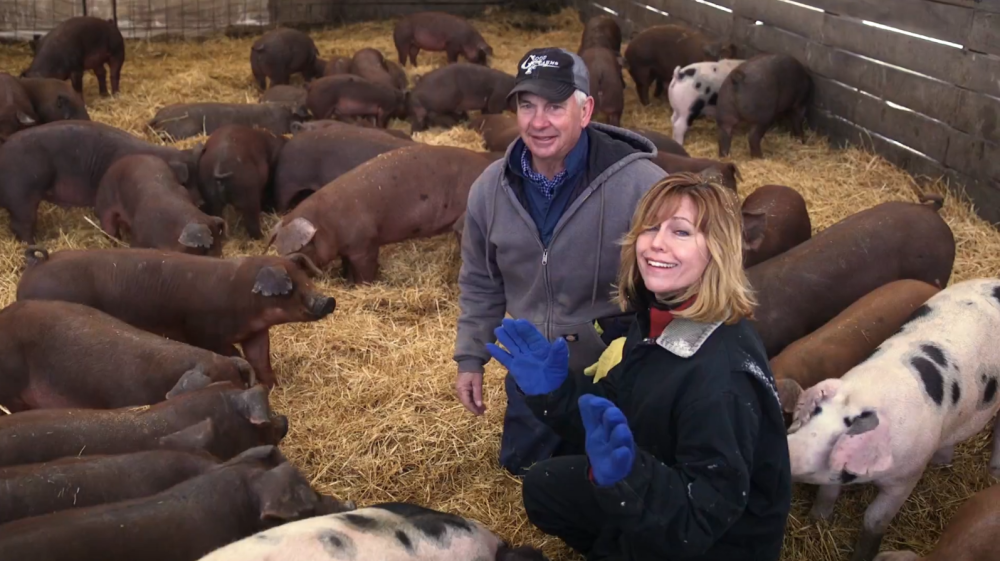 米国间谍看中央七套,回国辞职养猪成亿万富翁