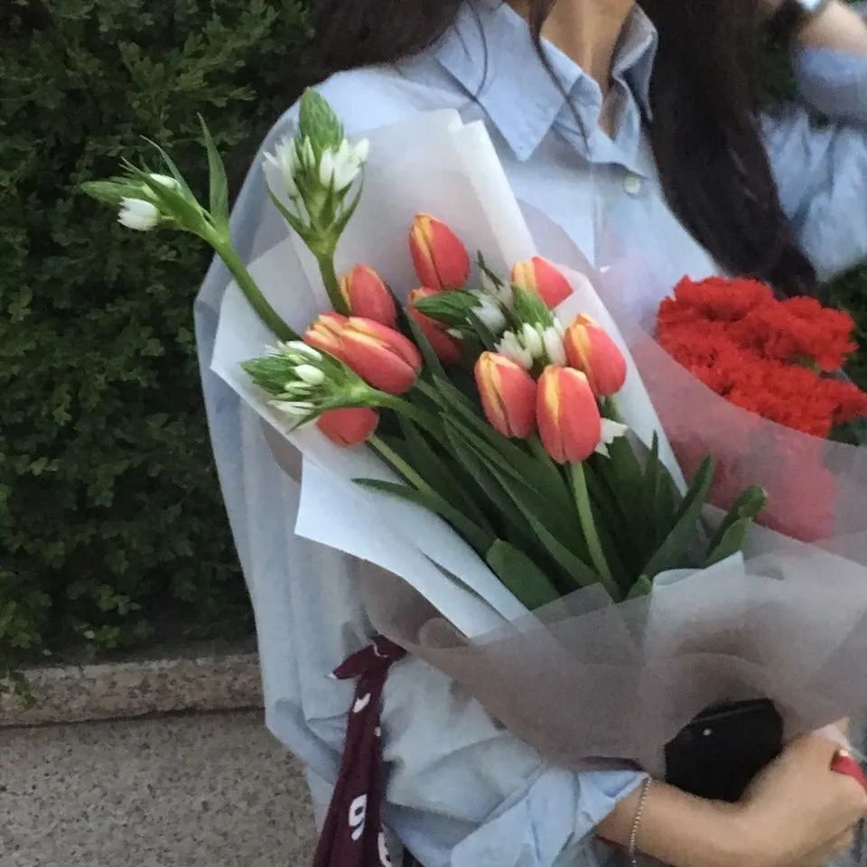 ins鲜花背景图封面