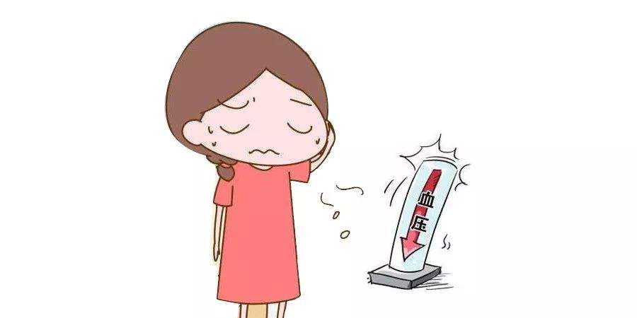 低血压,多属气血两虚,三味药煮水喝,升血压,补气血