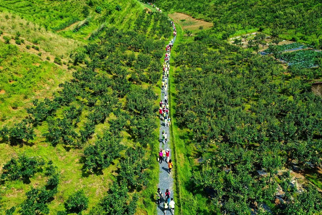 安吉五峰山运动村图片