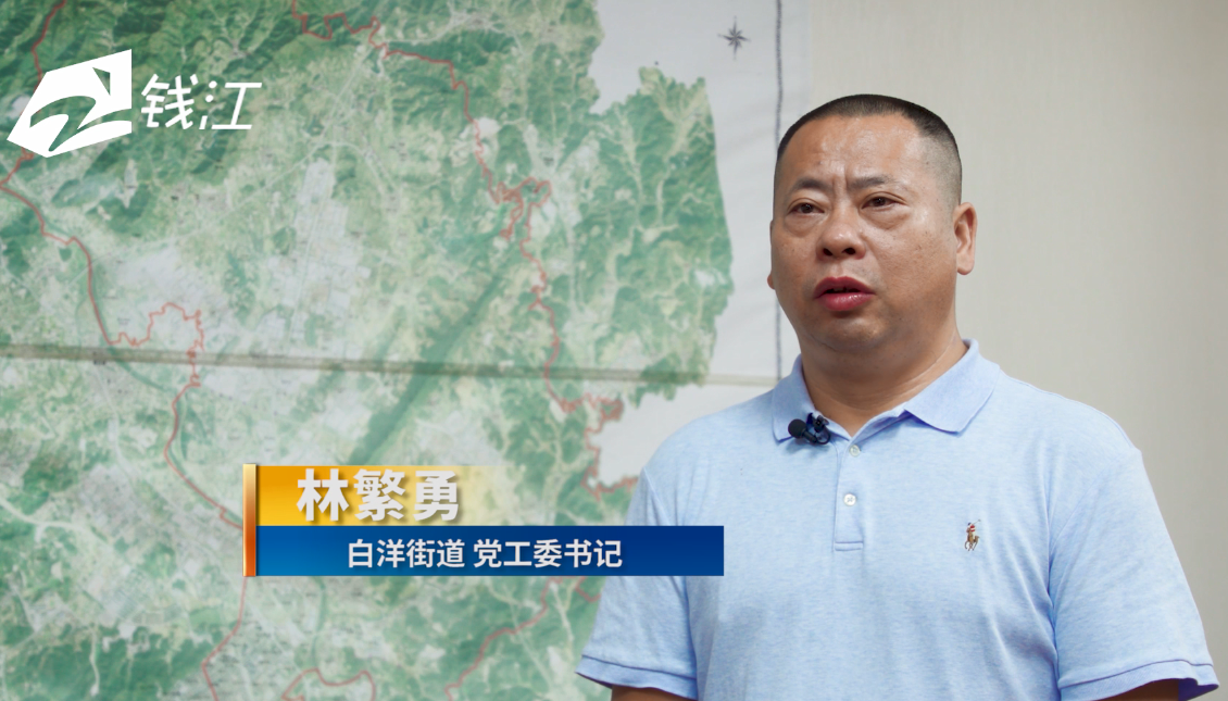 浙江电视台《都市看点》栏目:武义县白洋街道