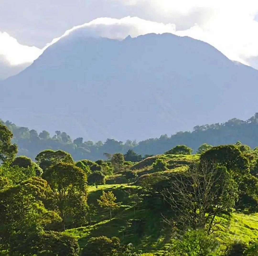 1磅瑰夏4100刀,精品咖啡店还买得起吗?