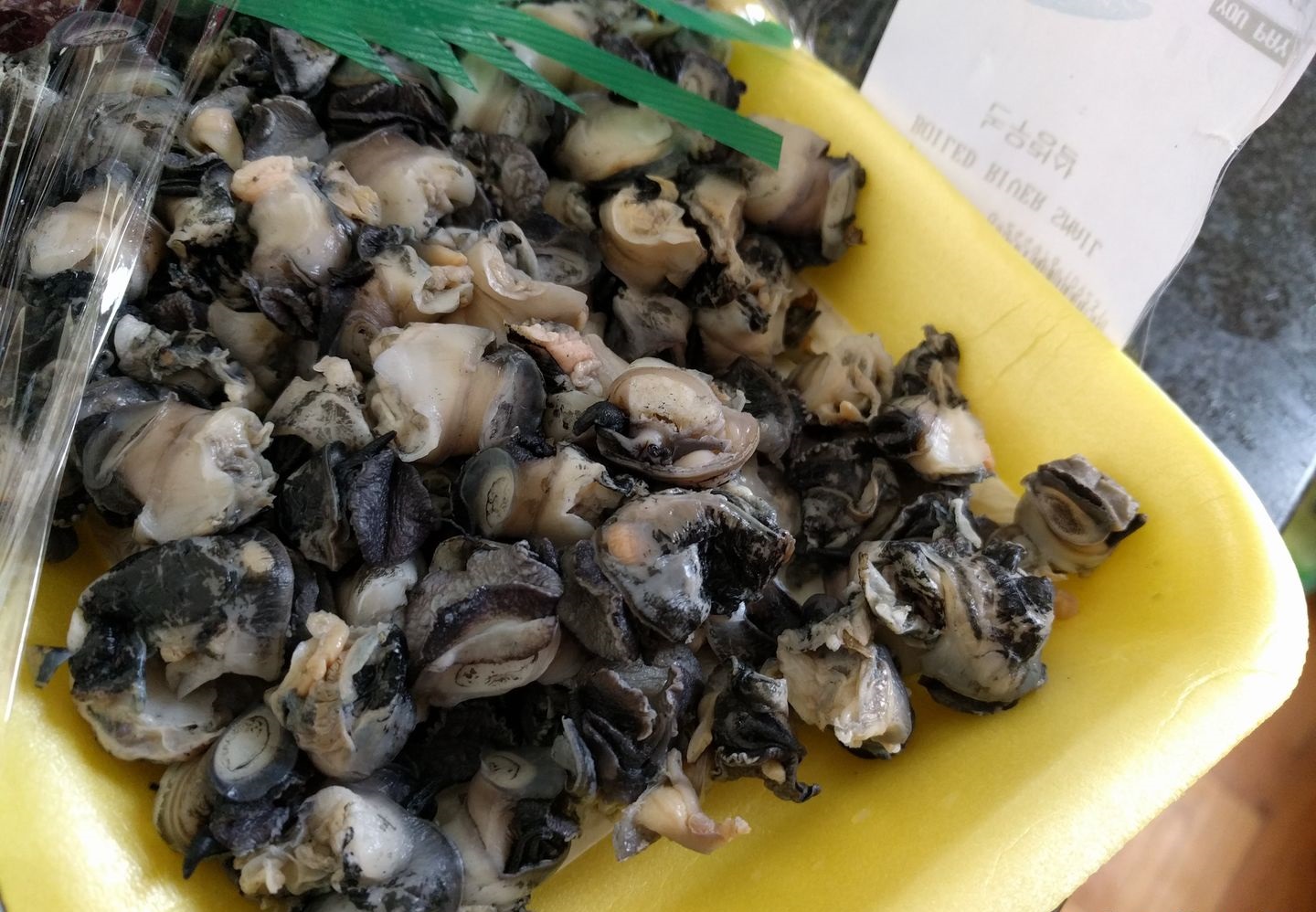 非洲大蜗牛,肉多味美,法国人拿来当美食,在中国真的不能吃吗?