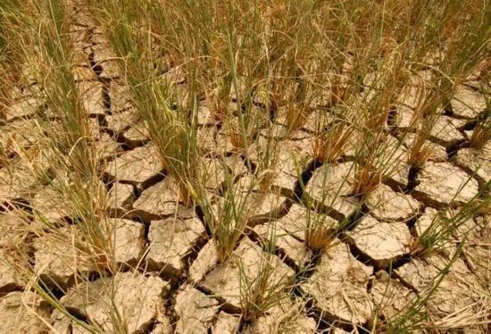 2022年高考地理微专题-气象灾害之干旱