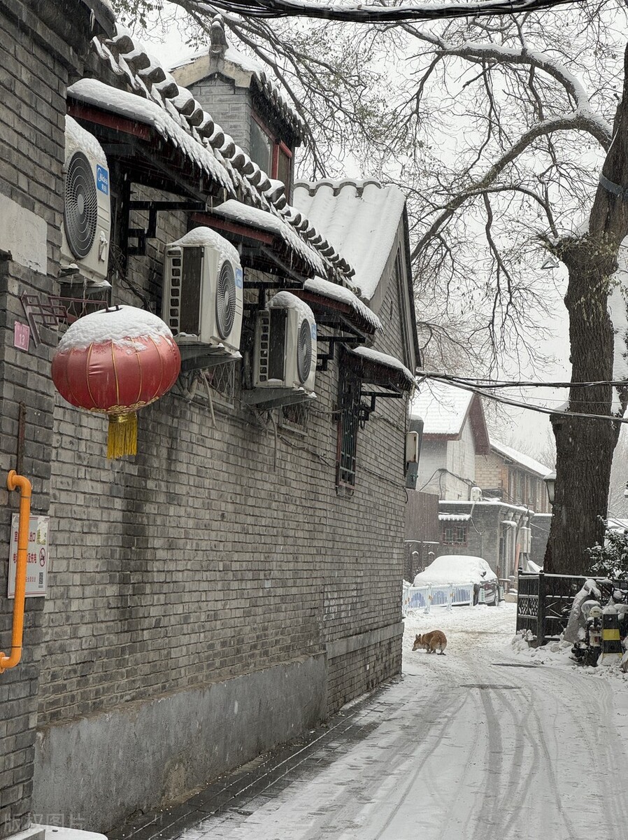 独家:实拍北京什刹海雪中即景 雪中胡同年代感拉满