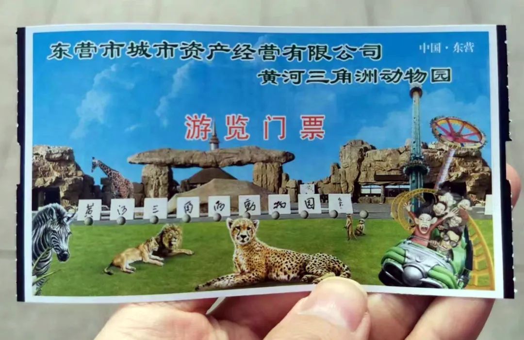 东营动物园(一):犀牛河马与老虎