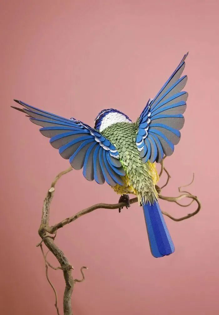 五彩斑斓的手工艺术,把纸雕玩出新意