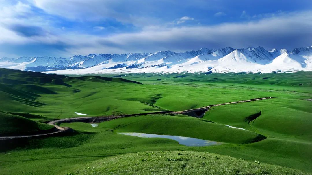 喜讯:那拉提入选2021年度中国绿色旅游目的地创新发展案例