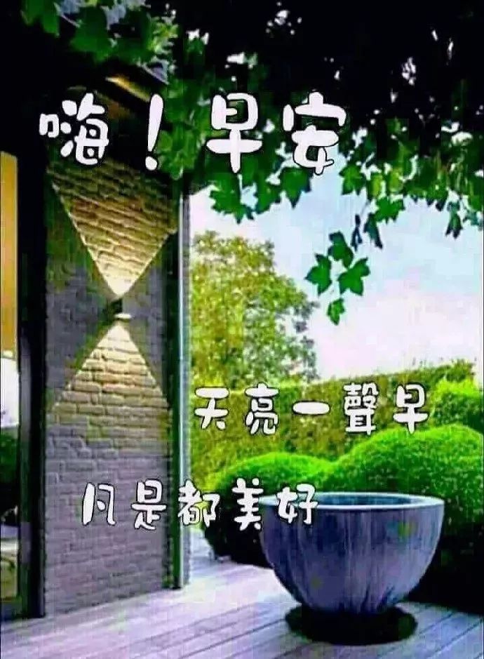 早上好图片最新图片夏天动态图