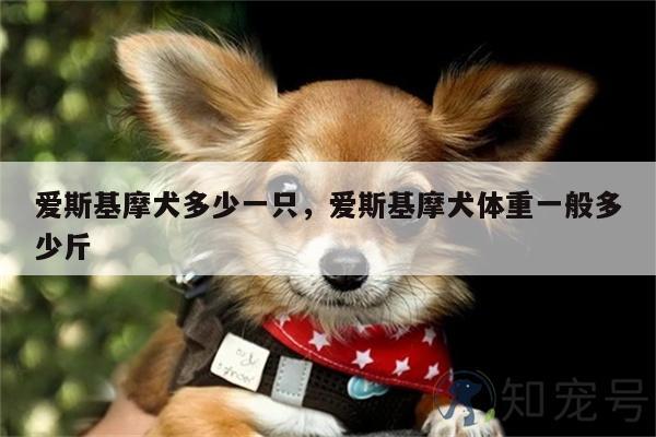 爱斯基摩犬多少一只,爱斯基摩犬体重一般多少斤