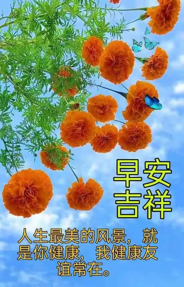 7張最新有創意的親人朋友早上好問候祝福表情圖片帶字