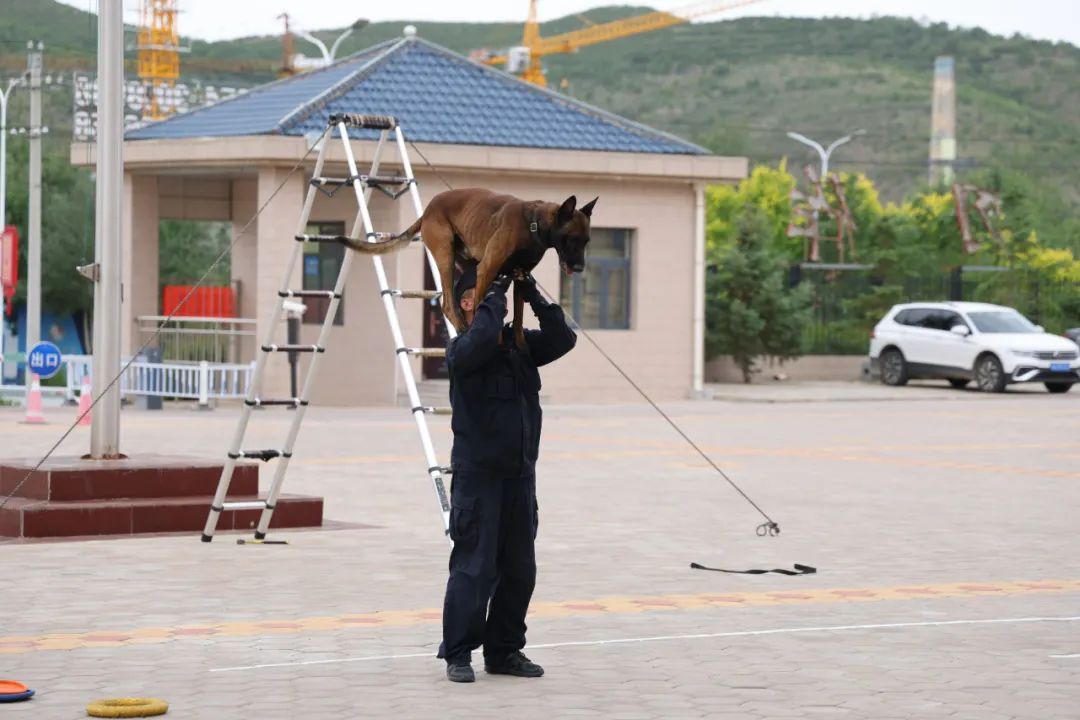 宁夏警官职业学院梅军一行来西吉公安调研毕业生就业实习工作