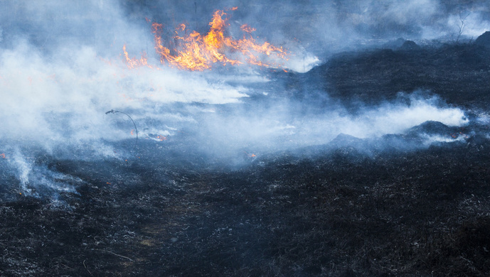 蒙古国草原大火已全部被扑灭
