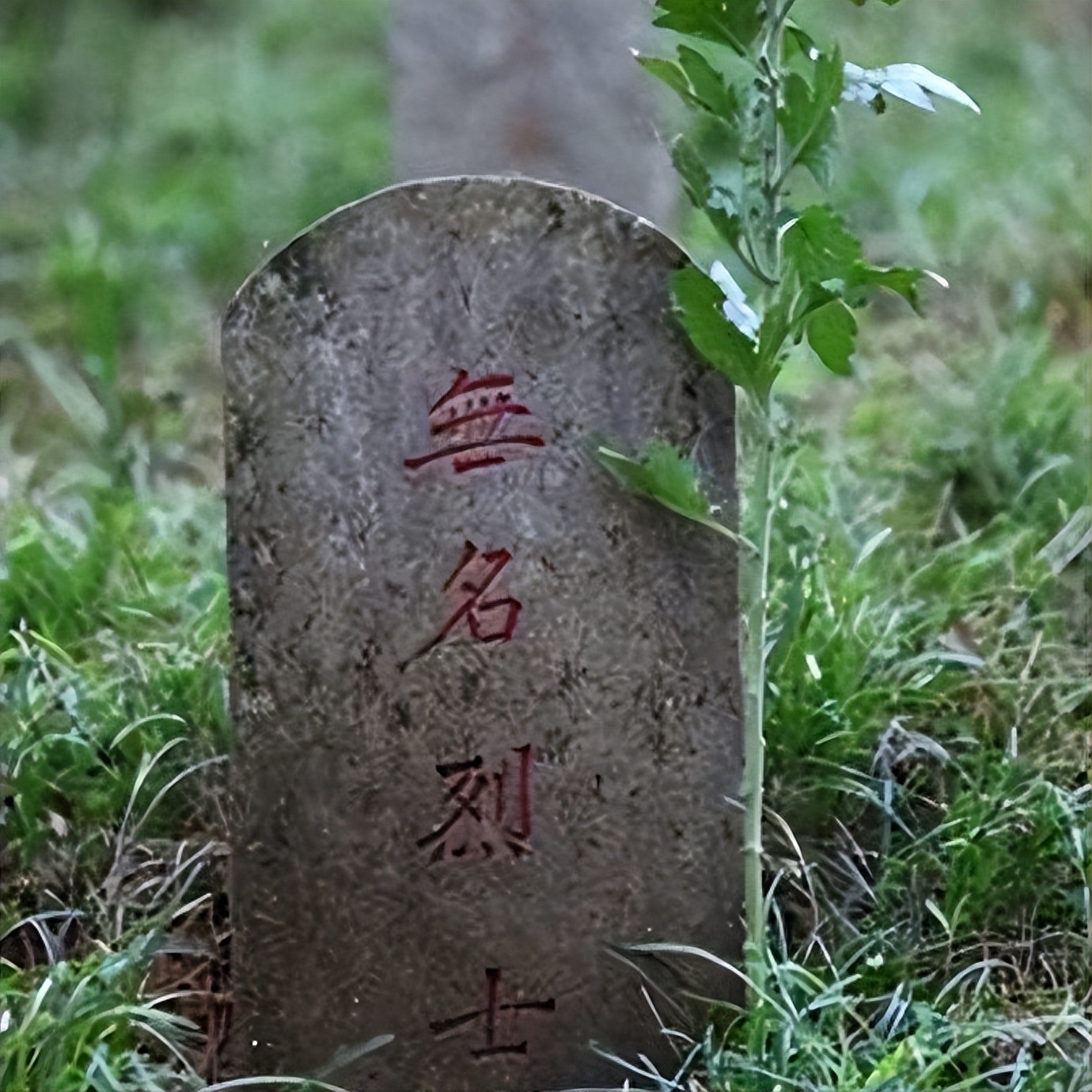 回顾:忘恩负义的国家,推平中国4万烈士墓,却对英美的陵园保护有加