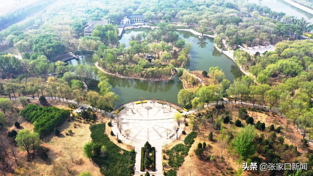 张家口宣化:万柳公园景色美