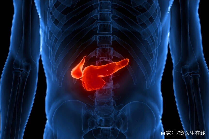 胰腺是干什么的？医生提醒：保护胰腺，要从这几件小事做起