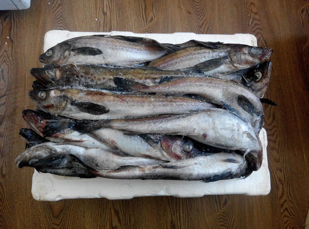 鱼的烹饪方式丰富多样,但是这2样做法不可取,会损害我们的健康