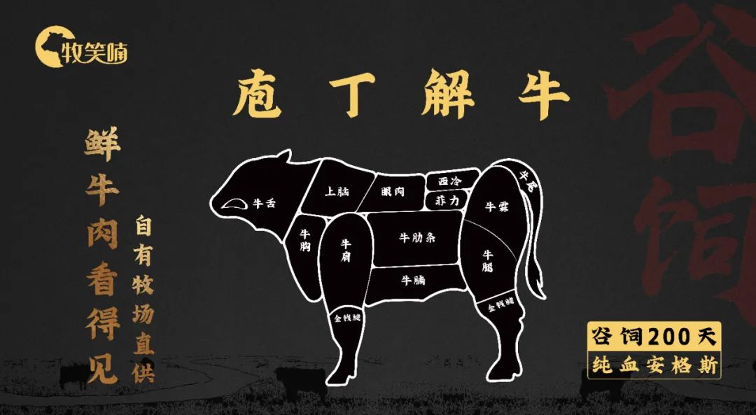 牧笑喃安格斯黑牛|甄选牛贵族的极品风味