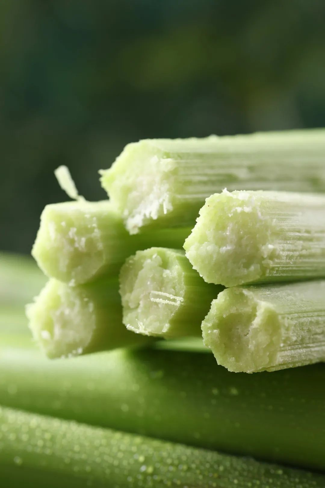 崇明特产甜芦粟新鲜上市,这口老上海人记忆里的甜爽,你尝过吗?