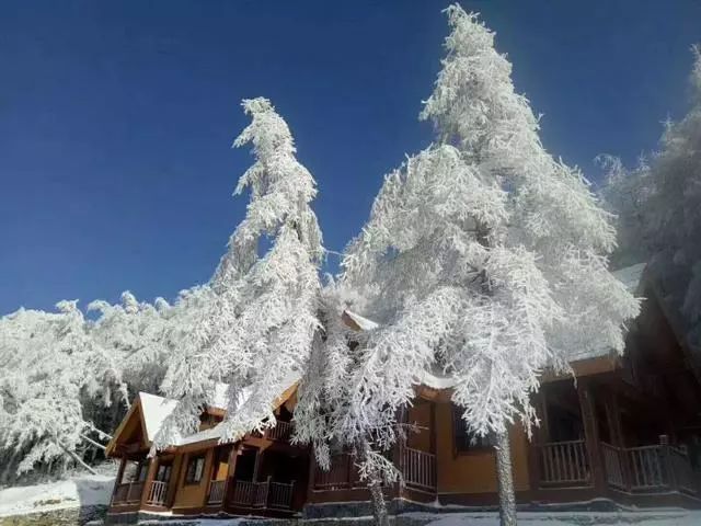 奉節茅草壩滑雪場開業啦