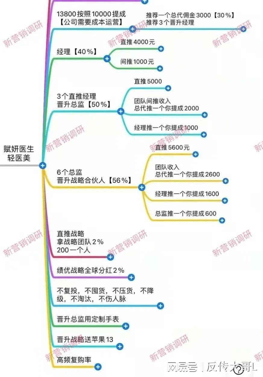 完美传销，完美传销骨干被抓