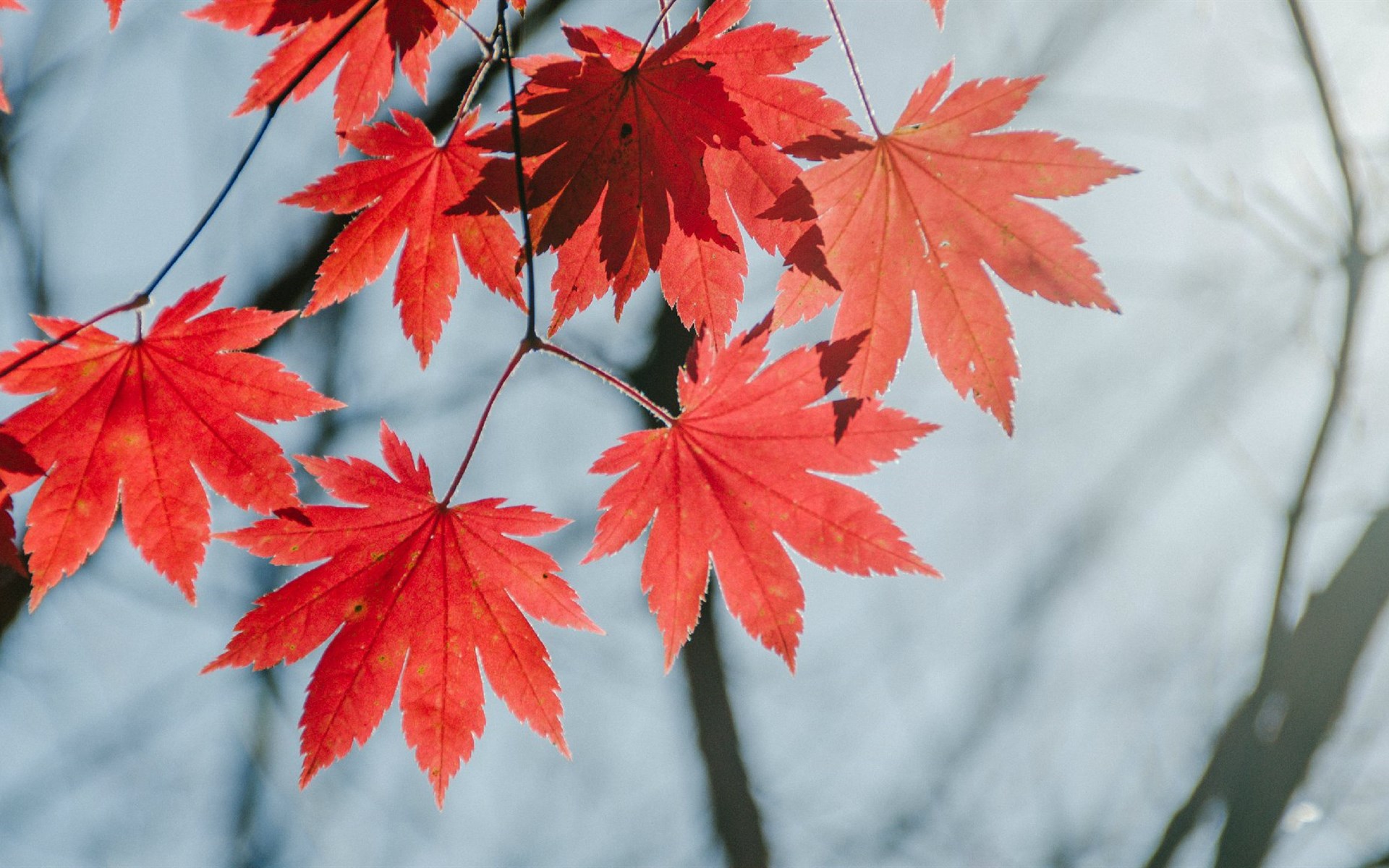 心若不正,再多福报也守不住