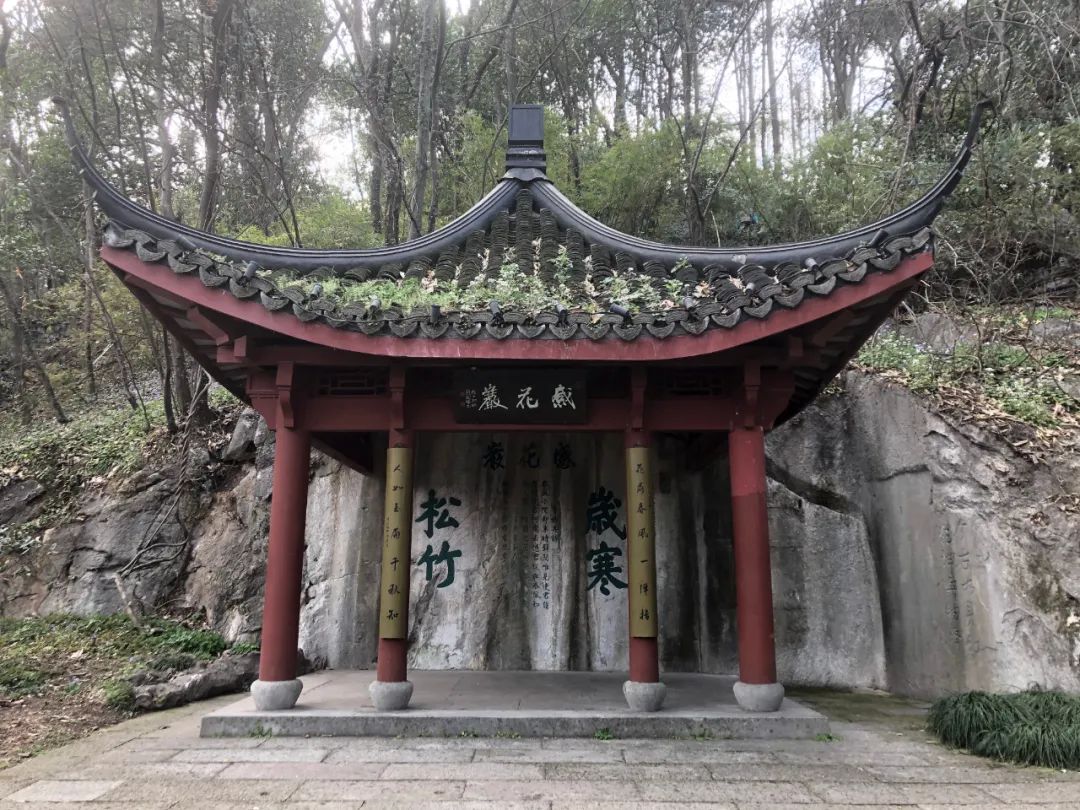 杭州宝成寺:闹市旁的千年古刹,藏着元朝将军的小秘密