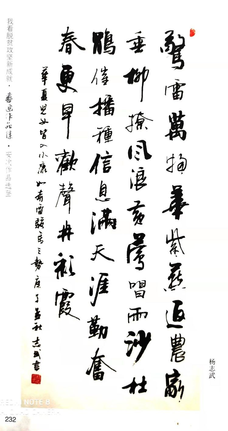 书法家杨志武先生