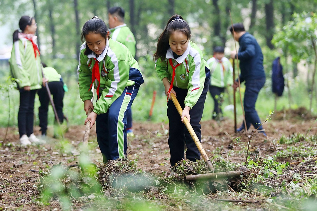 培養小學生對勞動認識與態度