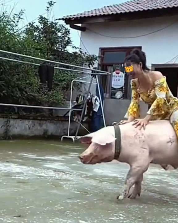 35岁女子智商如同7岁小孩,喜欢骑着猪兜风,嫁不出去让父母犯愁