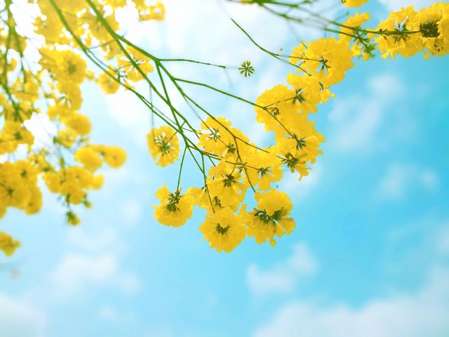 爱自己的高级文案(关于爱自己的唯美句子)