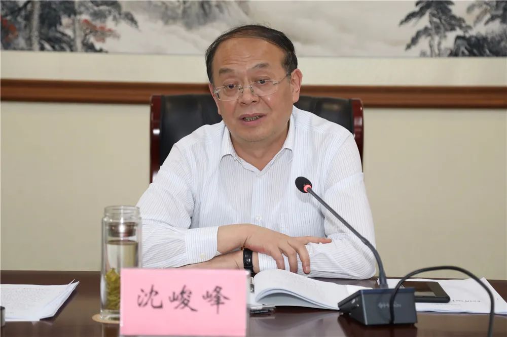 冲刺"双过半"丨沈峻峰要求:发挥优势挑重担 担当作为争贡献