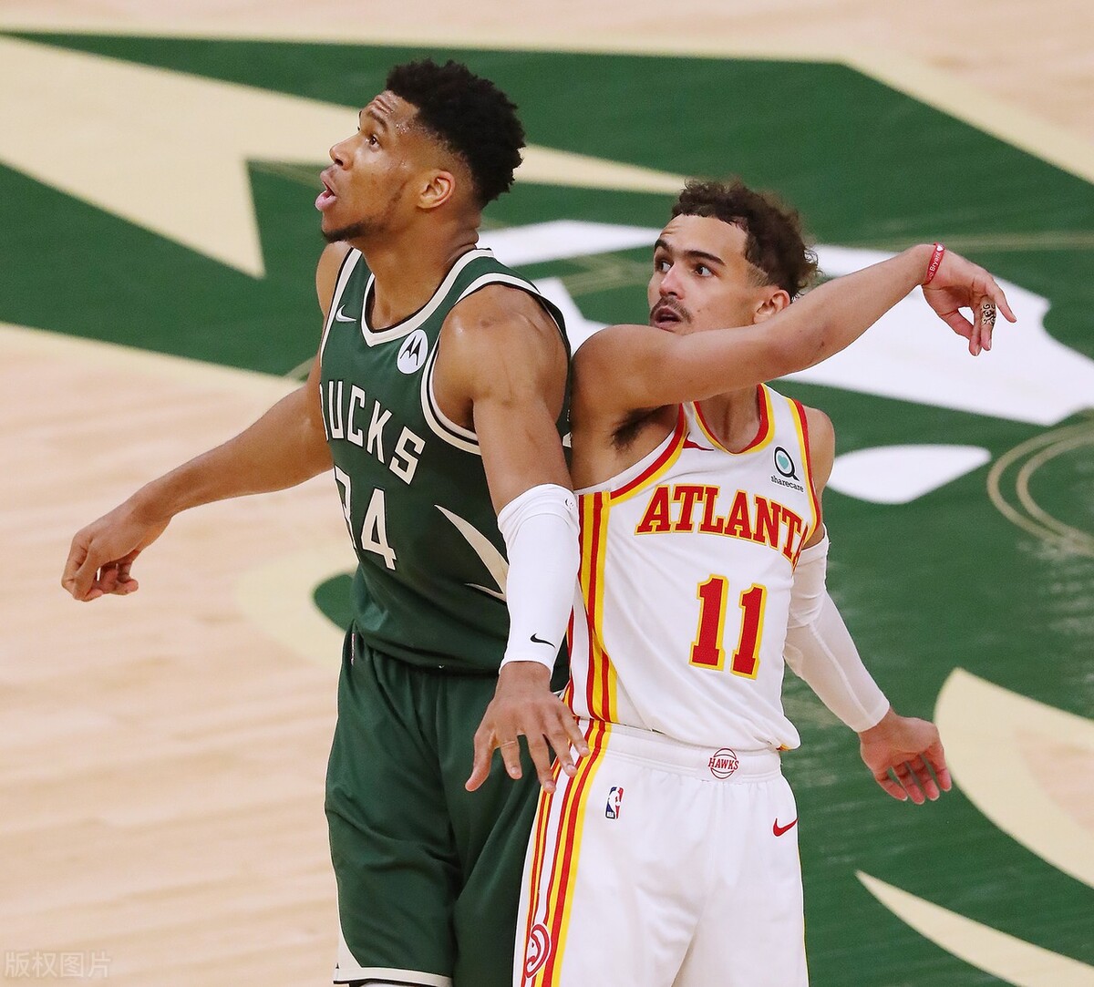 小心!特雷杨超神48分克雄鹿,雄鹿必强势反弹,垫脚戳眼只是开始