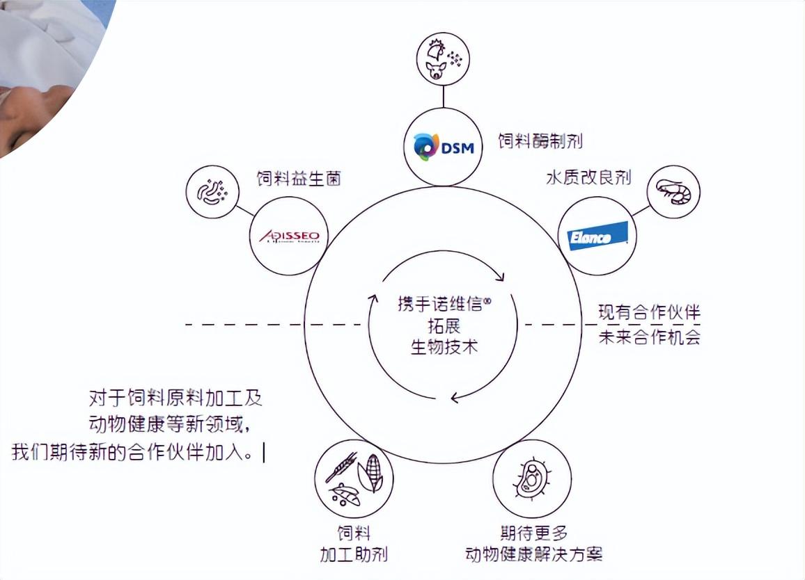 焊工培训：照亮职业生涯的明灯
