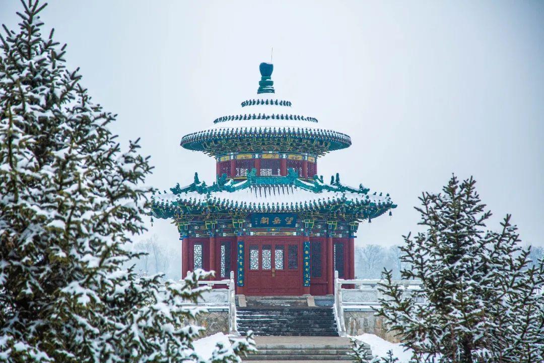 太原市尖草坪区:遇见·尖草坪丨雪后尖草坪,居然是这种颜色(不是白色)