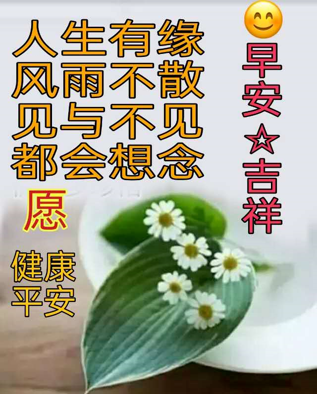 最打动婚外情人的早安图片