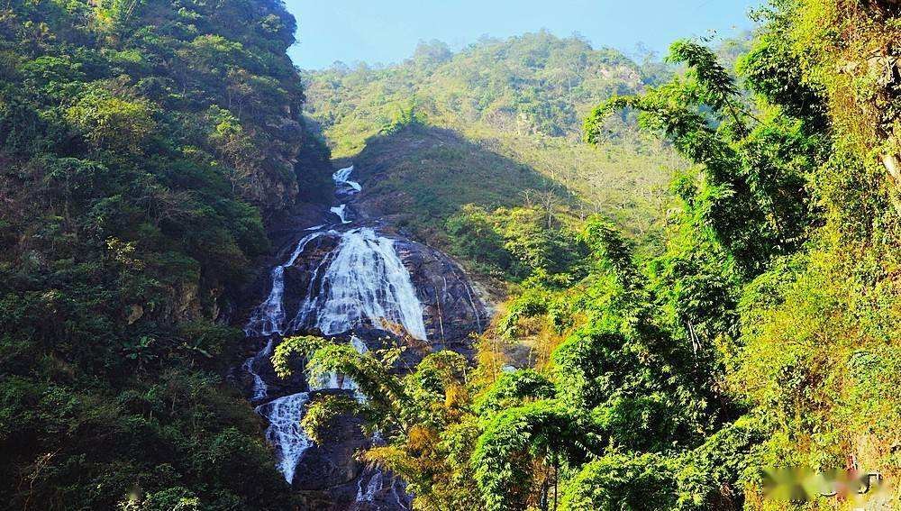 神秘的云南哀牢山,传说大山深处藏有宝藏,一般人不敢也不想进去