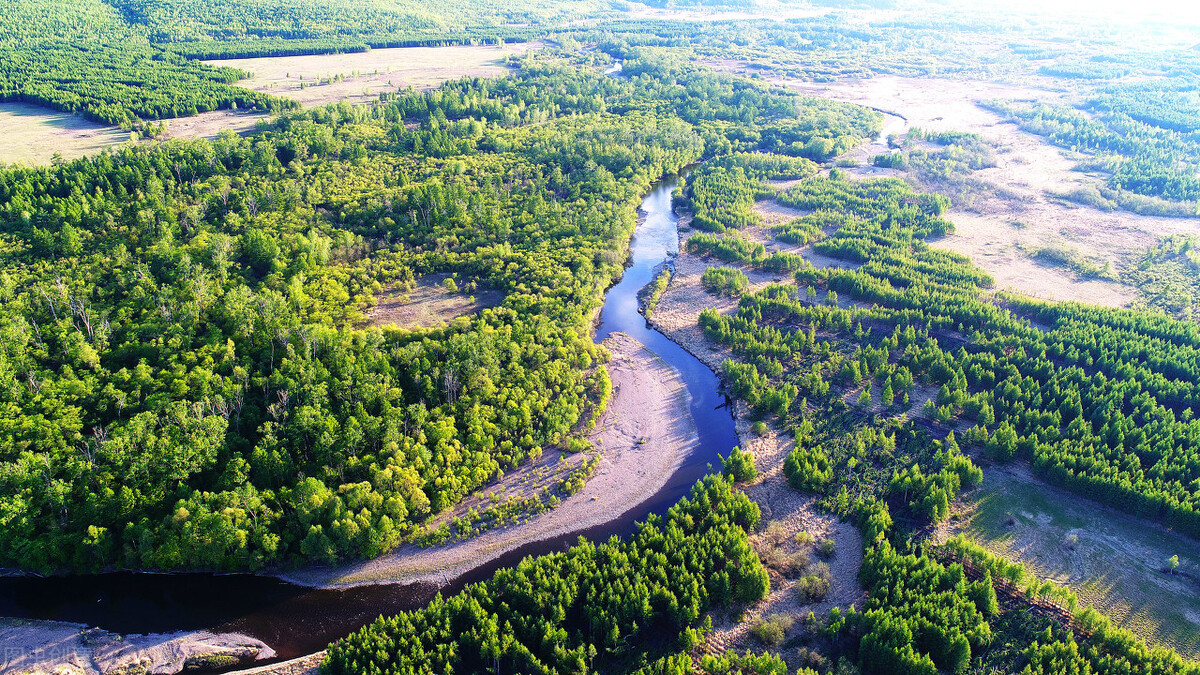 "地球之肺"——亚马逊热带雨林的巨大贡献和面临的劫难