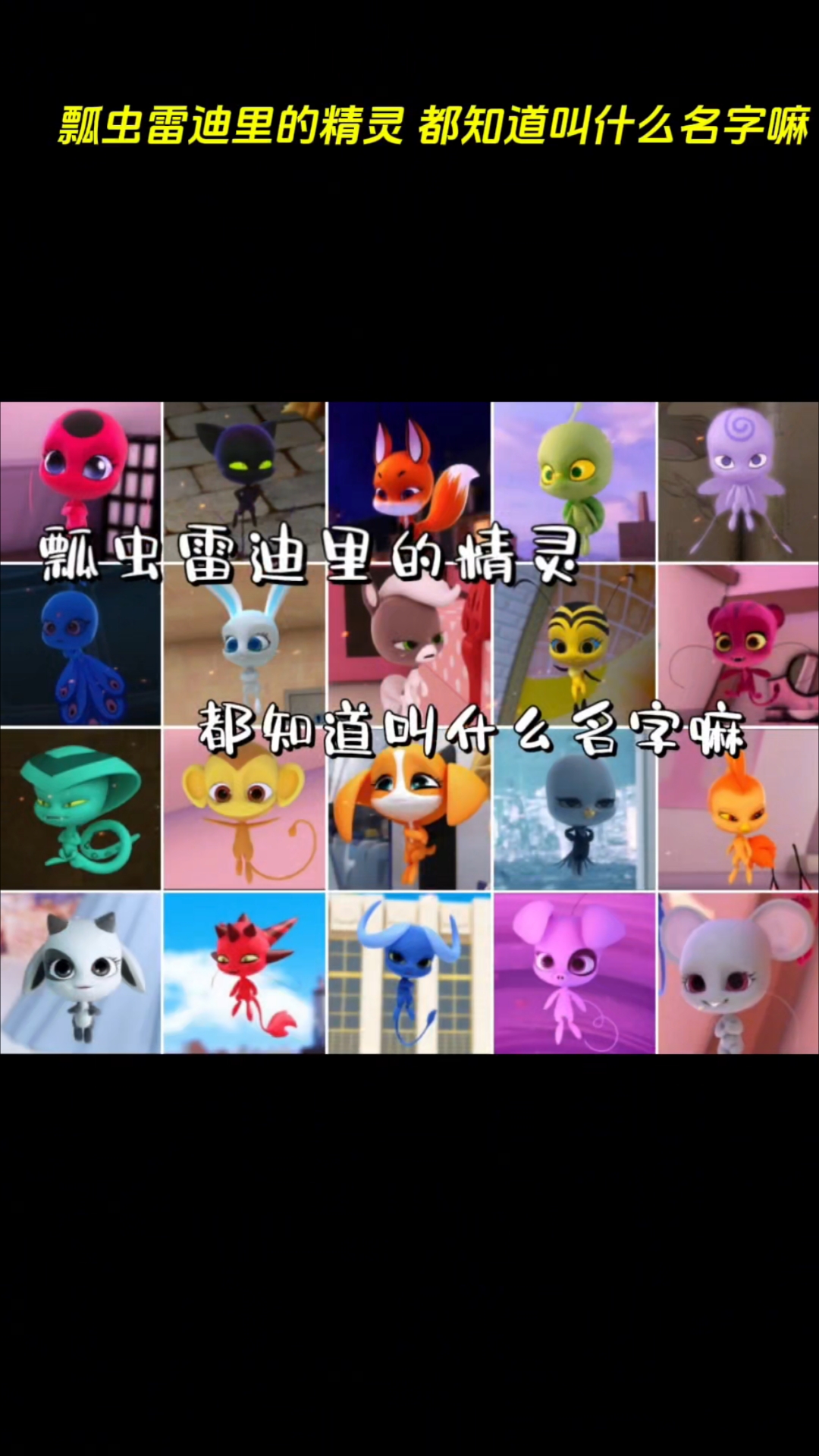 瓢虫雷迪的精灵都知道叫什么名字吗?