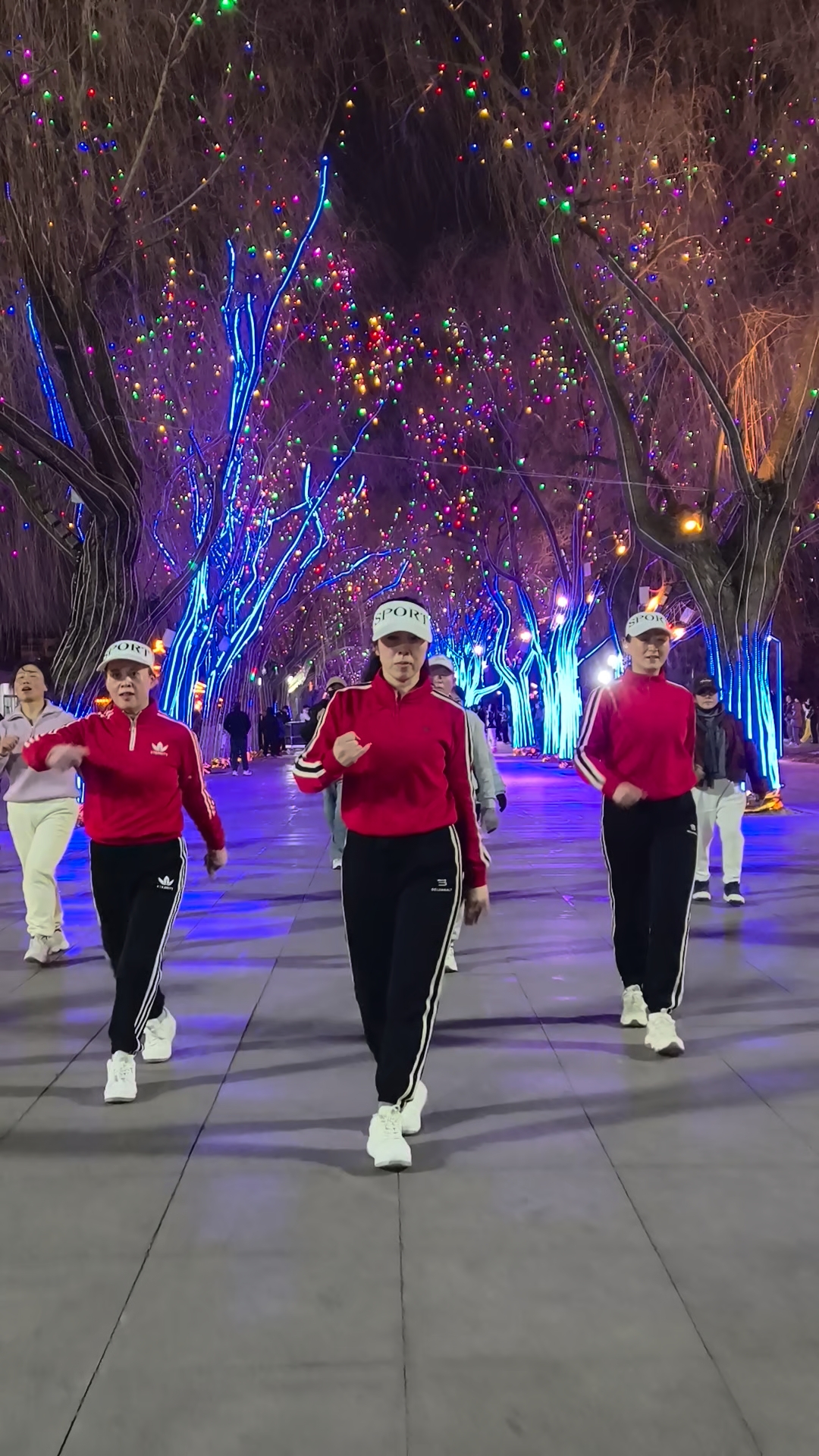 沈阳劳动公园广场舞:好姑娘
