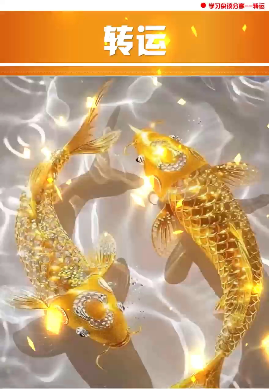 转运锦鲤