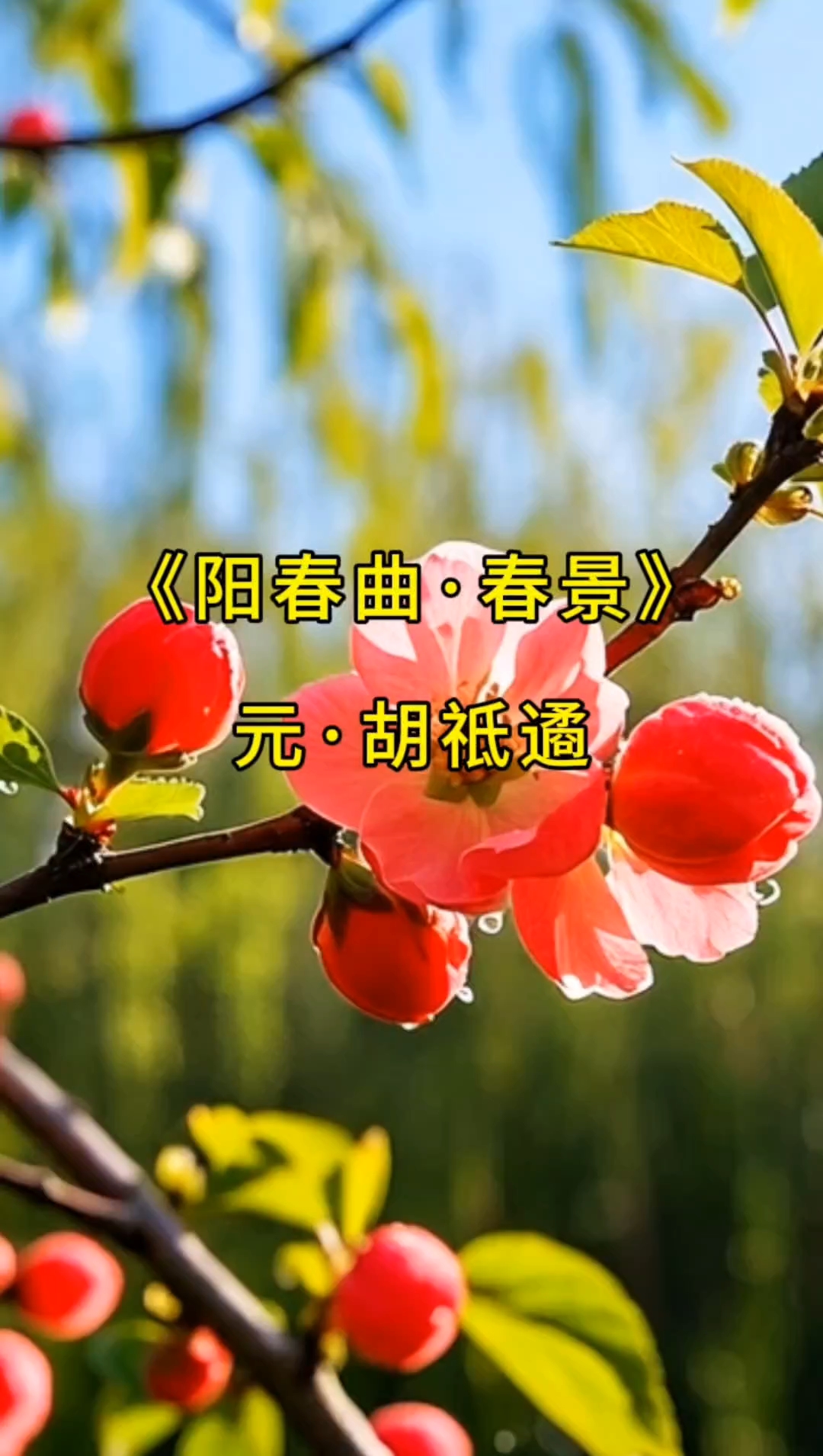 唯美古诗词欣赏 《阳春曲·春景》元·胡祗遹