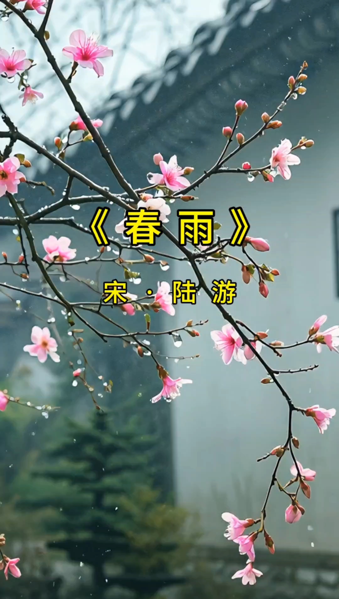 唯美古诗词欣赏 《春雨》宋·陆游