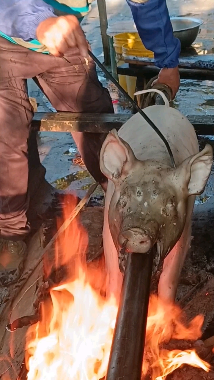 德宏火烧猪介绍图片